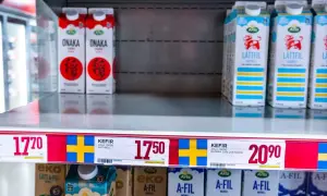 Hylla med mjölkprodukter. Arla Lättfil och Arla Kefir, både naturell och blåbär. Jämförelse mellan filmjölk vs kefir.